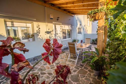 Κήπος έξω από το Magda's house