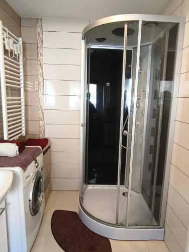 a shower in a bathroom with a washing machine at Löwen Haus am Edersee in Vöhl