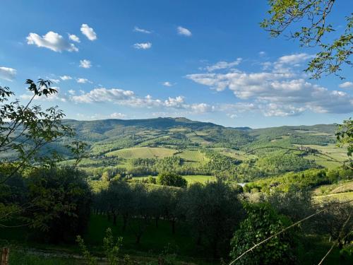 a view of a valley with hills and trees at Casita in Radda in Chianti