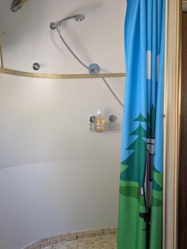 - un rideau de douche dans la salle de bains pourvue d'un pommeau de douche dans l'établissement Pooh’s Belle, à Grimaud