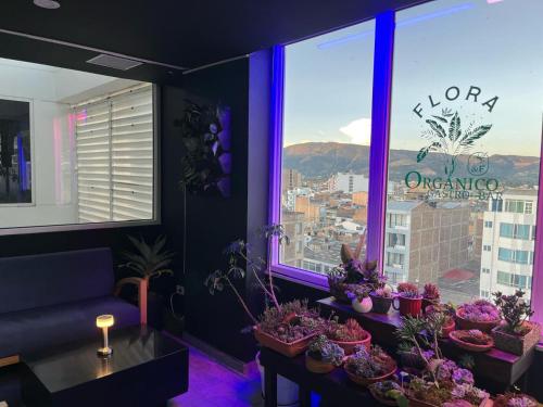 a living room with purple lighting and potted plants at Hotel H53 in Sogamoso