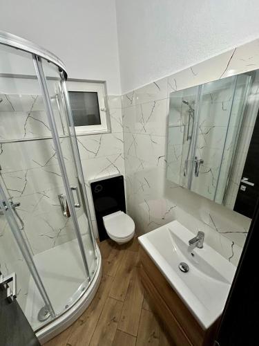 a bathroom with a shower and a sink and a toilet at Apartmani Kim in Starigrad