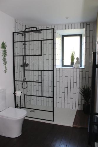 une salle de bain avec douche, toilettes et fenêtre dans l'établissement Fig Tree Cottage 1 x Super King or 2 x Single Beds, à Busserolles