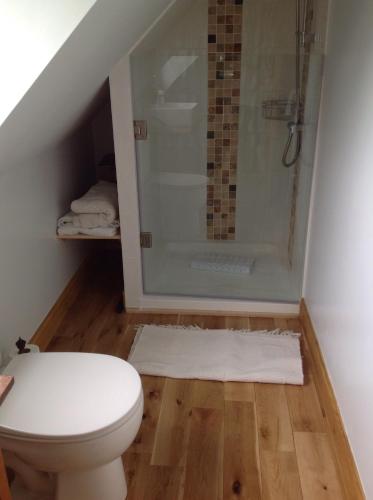 a bathroom with a toilet and a shower at Woodland Guesthouse in Stow on the Wold