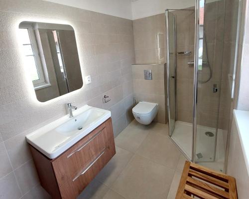 a bathroom with a sink and a shower and a toilet at Apartmány Hluchá Bašta s vnitřním bazénem in České Budějovice