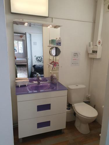La salle de bains est pourvue d'un lavabo violet et de toilettes. dans l'établissement Le jardin secret, à Uchaud