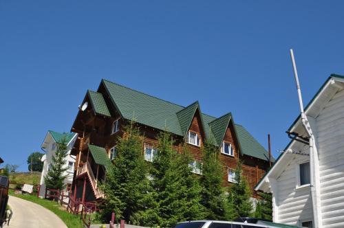 une grande maison en bois avec un toit vert dans l'établissement Мала Одеса, à Yablunytsya
