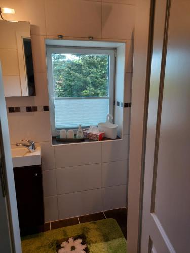 a small bathroom with a window and a sink at Haus Norderteich in Horn-Bad Meinberg