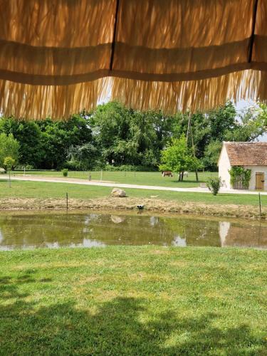 a puddle of water in a field with a house at Maison de campagne in Soings-en-Sologne