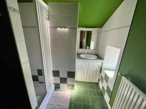 une petite salle de bain avec un lavabo et un miroir dans l'établissement Glycine, 6 person cottage, à Nalliers