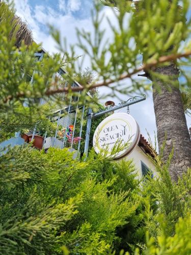 Zahrada ubytování Olea Sığacık Pansiyon & Bistro