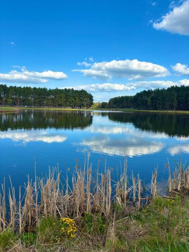 a view of a lake with trees in the background at Urocze Roztocze Jacnia - domek 1 in Jacnia