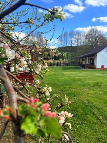 a tree with pink flowers in a yard at Urocze Roztocze Jacnia - domek 1 in Jacnia