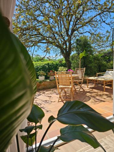 Κήπος έξω από το Chambre d'hôte BALI avec parking