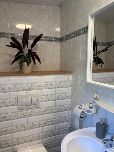 a bathroom with a sink and a toilet and a mirror at Ubytování Hoštka in Hošťka