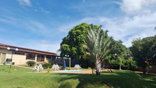 una palmera en un patio al lado de un edificio en Recanto famila lago das brisas, en Corumbazul