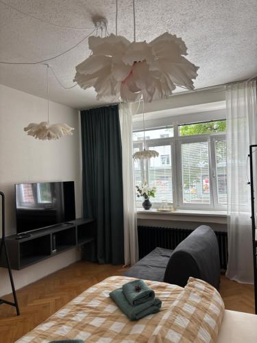 Studio apartment Monte Bu