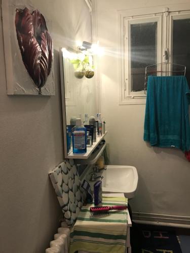 une salle de bain avec un lavabo et un miroir dans l'établissement Jolie appartement F2 centre ville Bourges, à Bourges