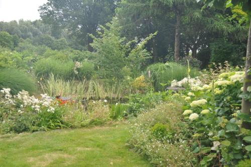 a garden with many different flowers and plants at De Hoge Peel in Heythuysen