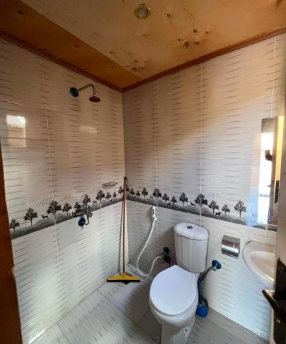 a bathroom with a toilet and a shower and a tub at sea horse in Nuweiba