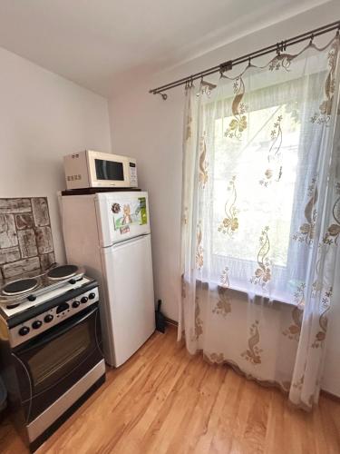 a small kitchen with a refrigerator and a microwave at Willa Zielona Kraina in Wisła