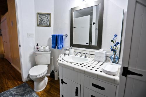 a bathroom with a toilet and a sink and a mirror at ONX WINES - Briarwood Apartment in Templeton