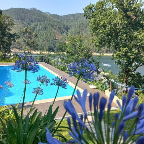 Blick auf einen Swimmingpool mit blauen Blumen in der Unterkunft Villa Natura in Cova