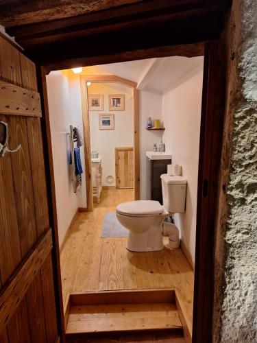 une salle de bain avec toilettes dans une chambre dans l'établissement La maison du Donjon, à Airvault