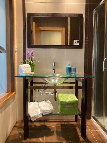 a bathroom with a glass sink and a mirror at Villa Natura in Cova