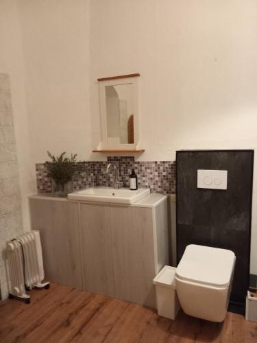 a bathroom with a toilet and a sink at Ferienhaus Loft in Küstennähe in Ruda