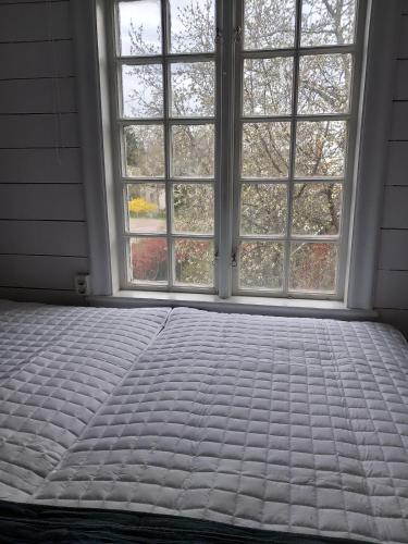 a bed in a room with a large window at Ferienhaus Loft in Küstennähe in Ruda