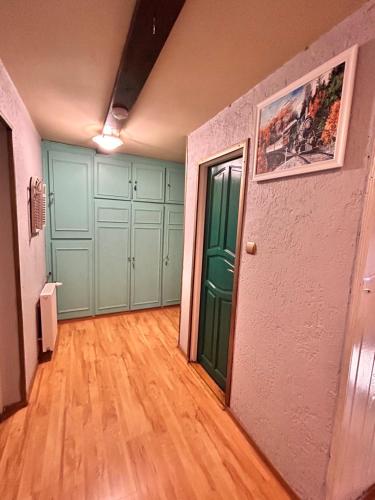 an empty hallway with green doors and wooden floors at Willa Zielona Kraina in Wisła