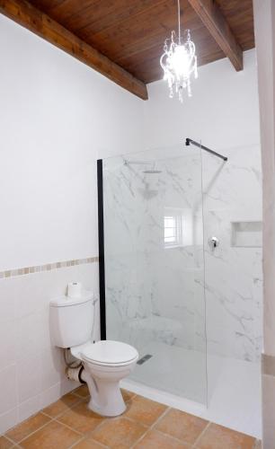 a bathroom with a toilet and a glass shower at Karoo Zen in De Rust