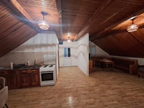 a kitchen with a stove top oven in a room at Apartment Beautiful view in Piva in Pluzine