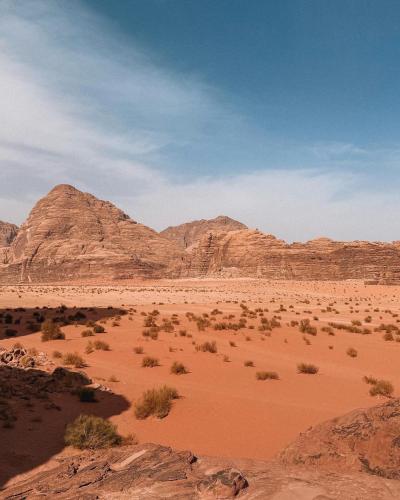 a desert with mountains in the distance and trees in the foreground at Talal Rum Luxury Camp in Jurf ad Darāwīsh