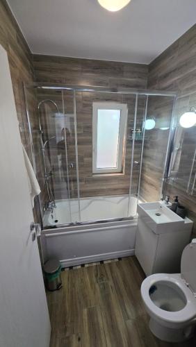 a bathroom with a toilet and a shower and a sink at Happy Architect in Cisnădie