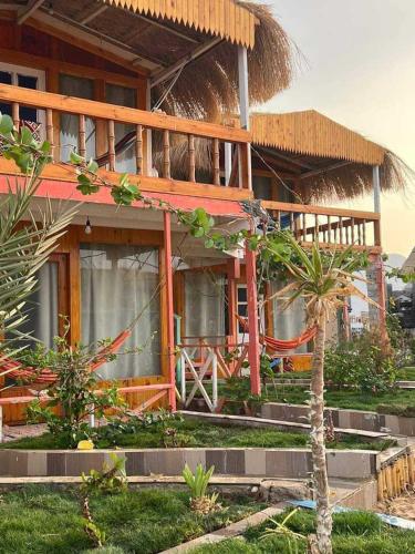 a house with a palm tree in front of it at Green Beach Camp & Hotel in Nuweiba
