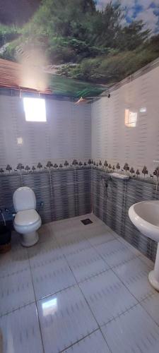 a bathroom with a toilet and a sink at Green Beach Camp & Hotel in Nuweiba