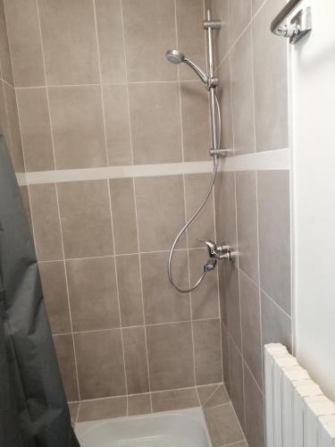 a shower with a shower head in a bathroom at Appartement dans le centre historique - Montsalvy in Montsalvy