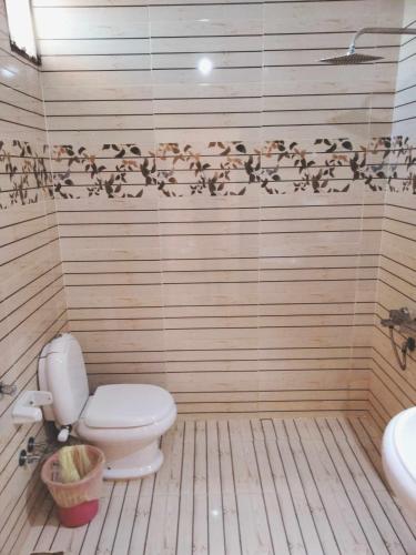 a bathroom with a toilet with birds on the wall at Green Beach Camp & Hotel in Nuweiba