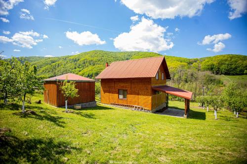 a cabin in a grassy field next to a building at Casa de Vacanță Haneș - Private Cabin - Orchard & Mountain Views - Transalpina & viaTransilvanica in Pianu de Sus