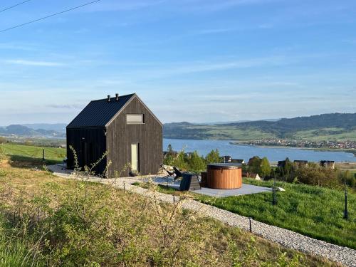 a small house on a hill next to a body of water at Czarne Ptaszki in Szlembark