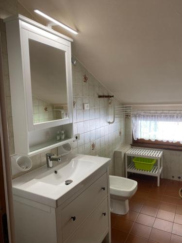a bathroom with a sink and a toilet and a mirror at Villa Tiziana Typ T1 in Crone