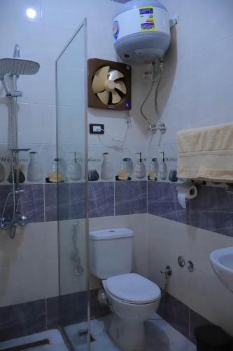 a bathroom with a toilet and a shower and a sink at Rayan Nubian Guest House in Aswan