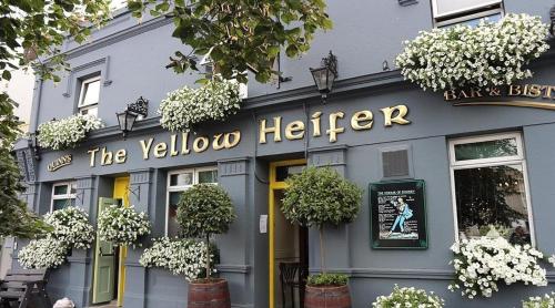 a blue building with a sign that reads the yellow kitchen at Fountain Street in Bessbrook