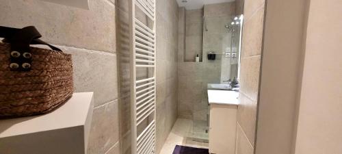 une salle de bain avec un lavabo et une douche dans l'établissement Le Foch - 3 Chambres-proche centre, à Grenoble