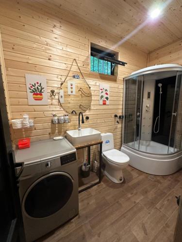 a bathroom with a toilet and a sink and a shower at WoodLand Tskhvarichamia in Tsʼkhvarichamia