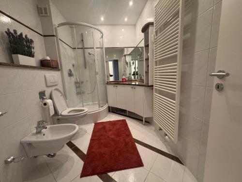 a bathroom with a shower and a toilet and a sink at FeWo am Hansa Park in Sierksdorf