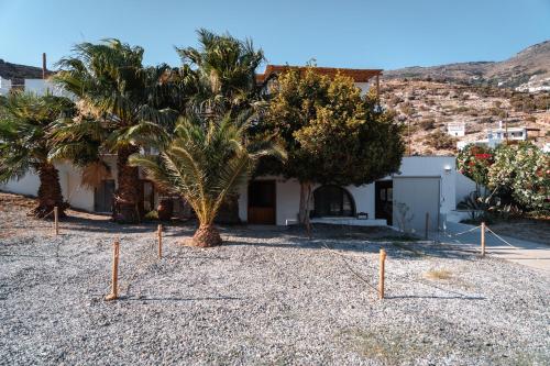 a yard with palm trees and a house at Living Blue Tinos in Kardiani