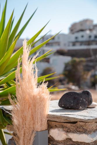 a rock sitting on a table next to some grass at Living Blue Tinos in Kardiani